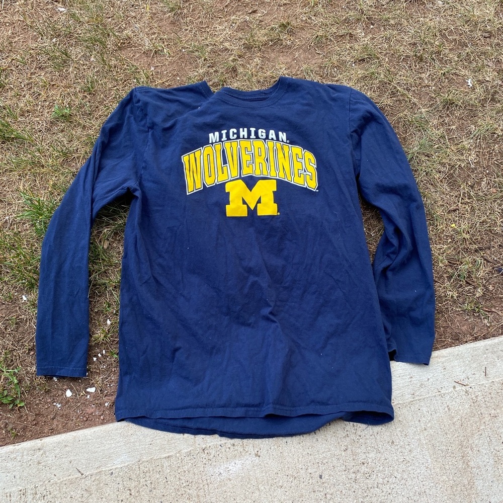 Michigan Wolverines - image 1